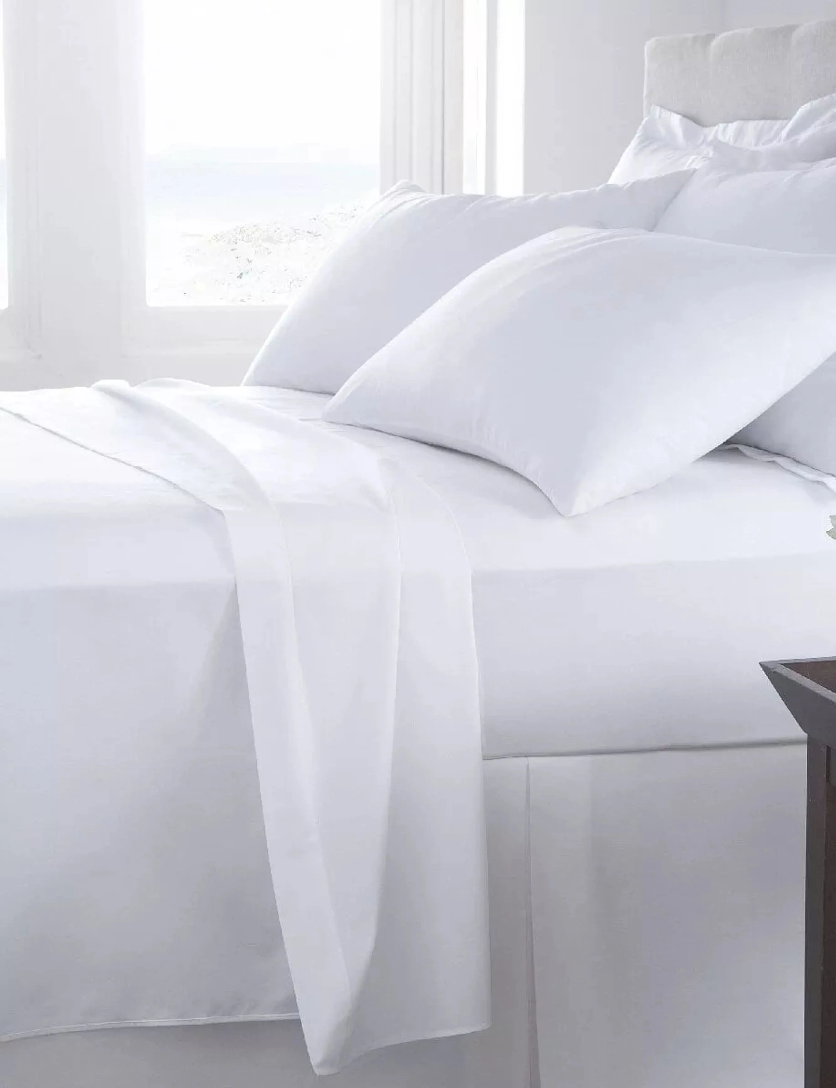 200TC Egyptian Cotton Bedsheet (Flat)