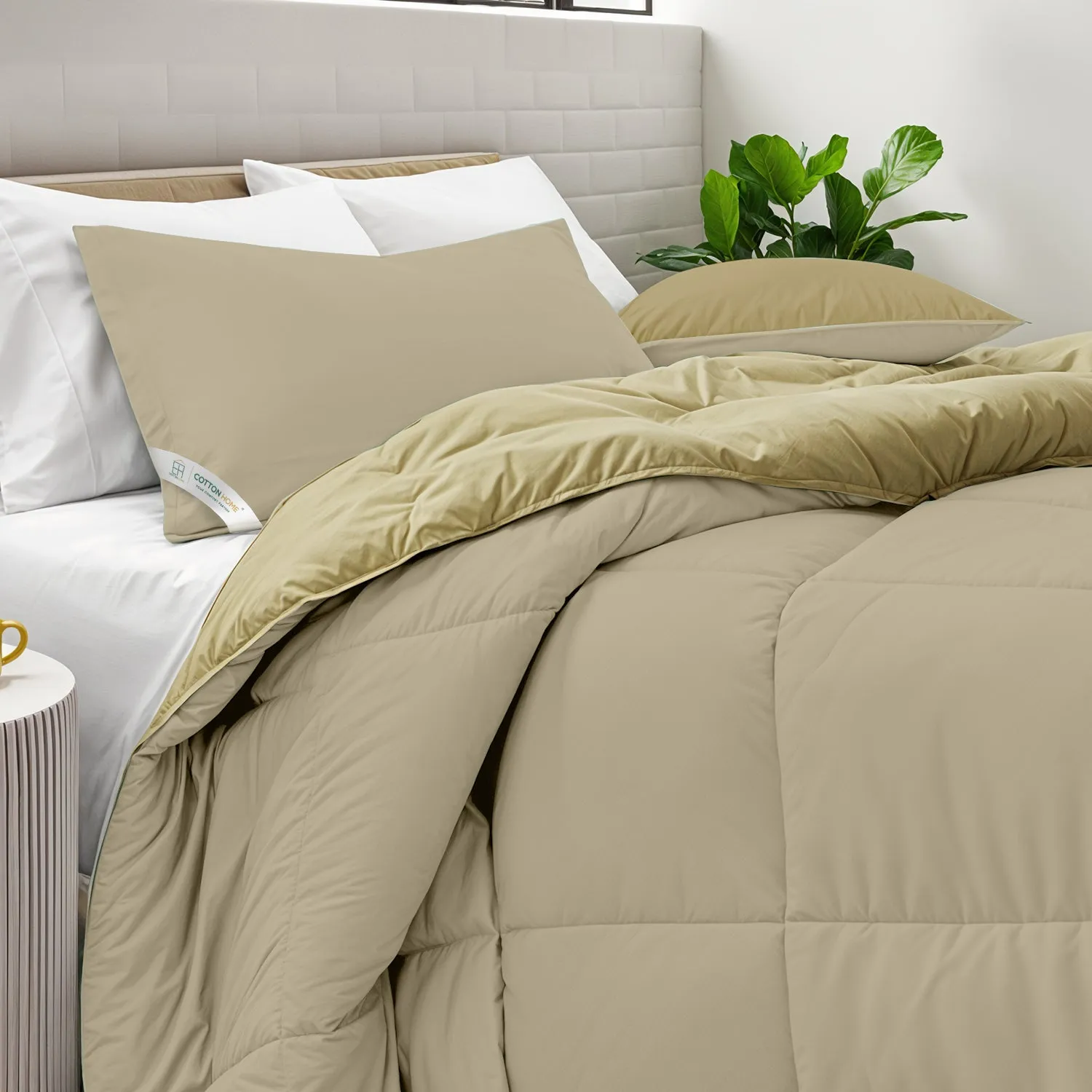 All Season Beige Super Soft Reversible King Comforter Set 220x240cm with 2 Pillow Case