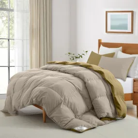 All Season Dark Beige Super Soft Reversible King Comforter Set 220x240cm with 2 Pillow Case