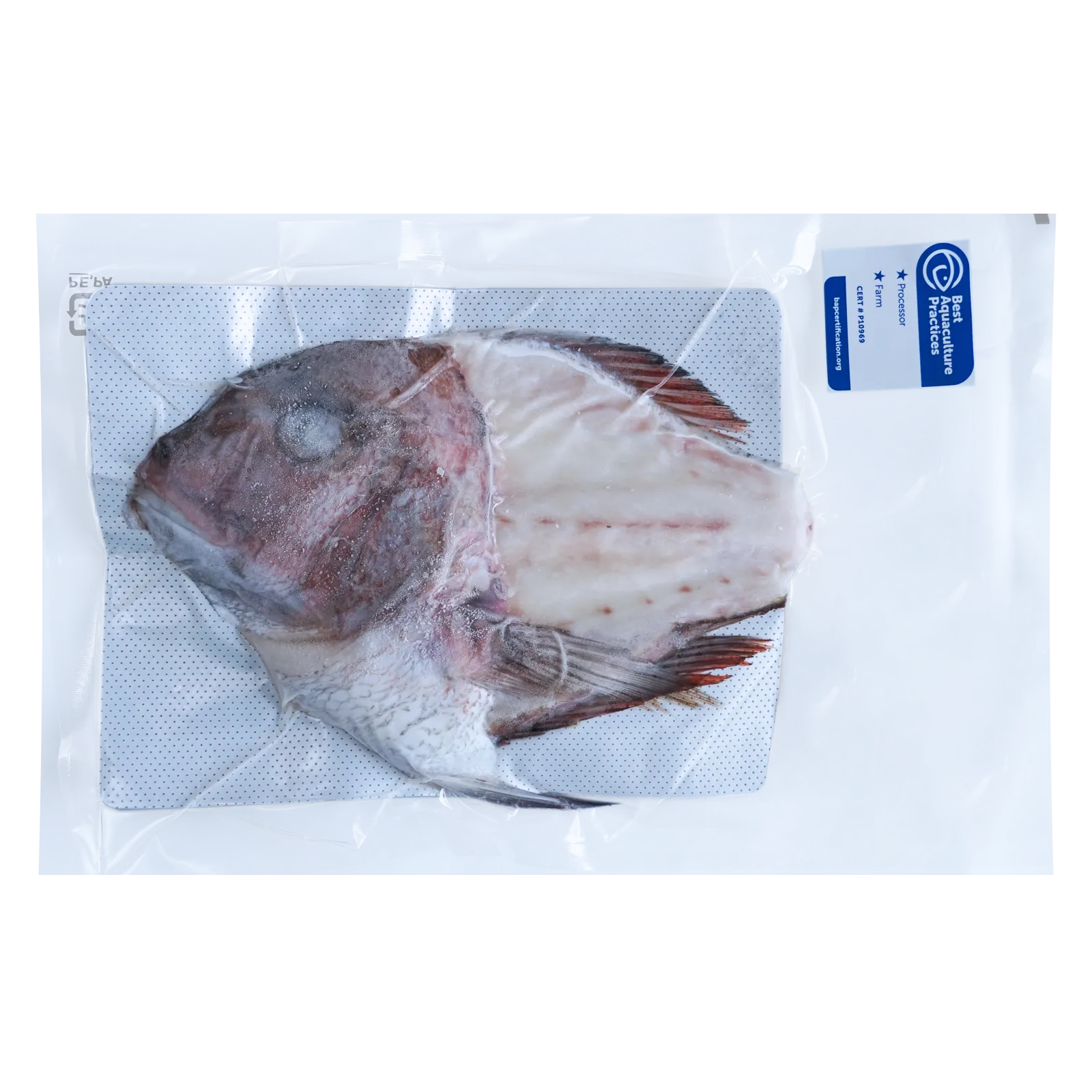 BAP-Certified Red Seabream Fish Frames / Bones for Broth from Japan (300g)