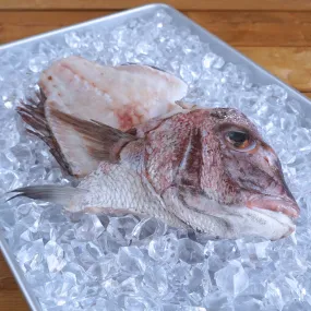 BAP-Certified Red Seabream Fish Frames / Bones for Broth from Japan (300g)