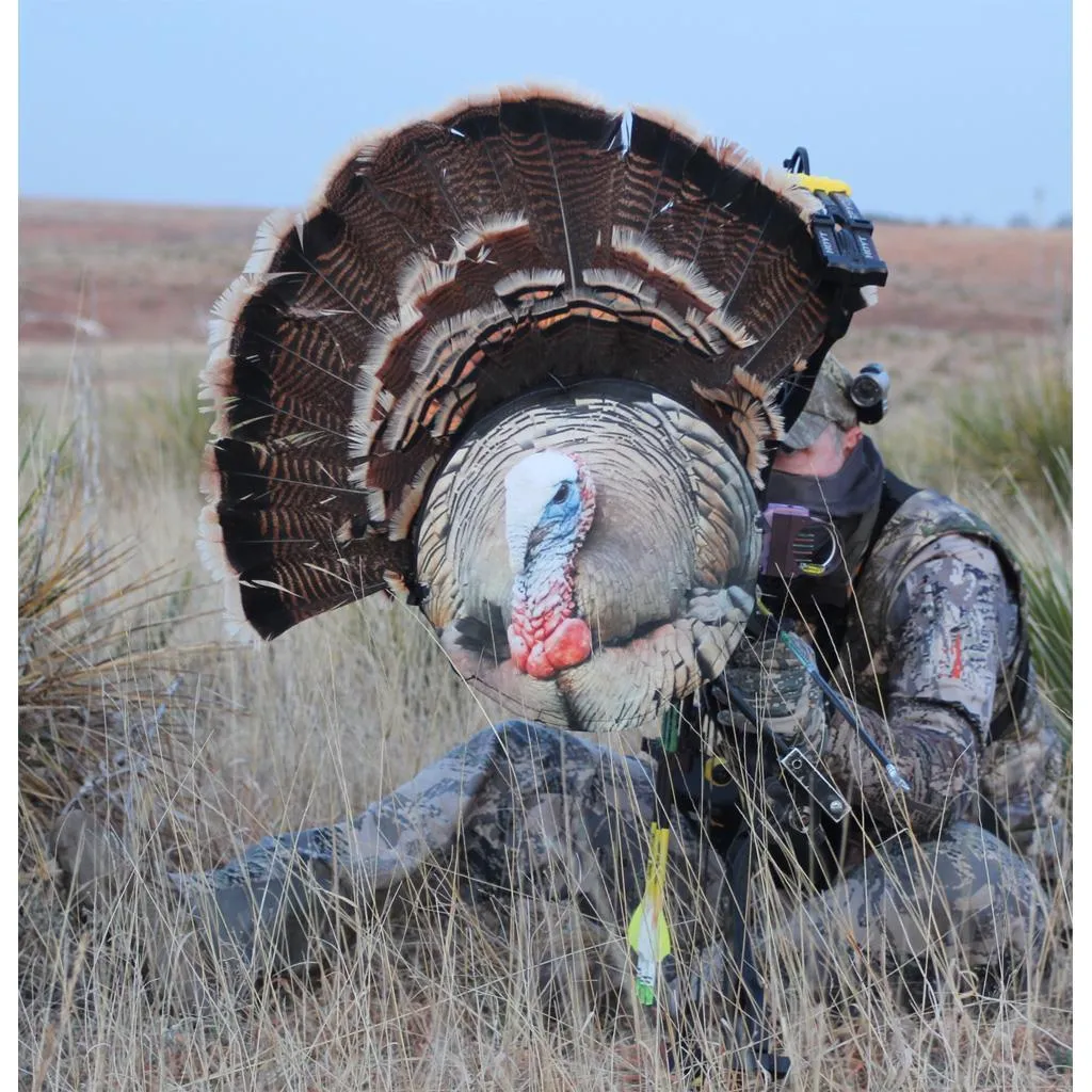 Heads Up Tom Turkey Decoy