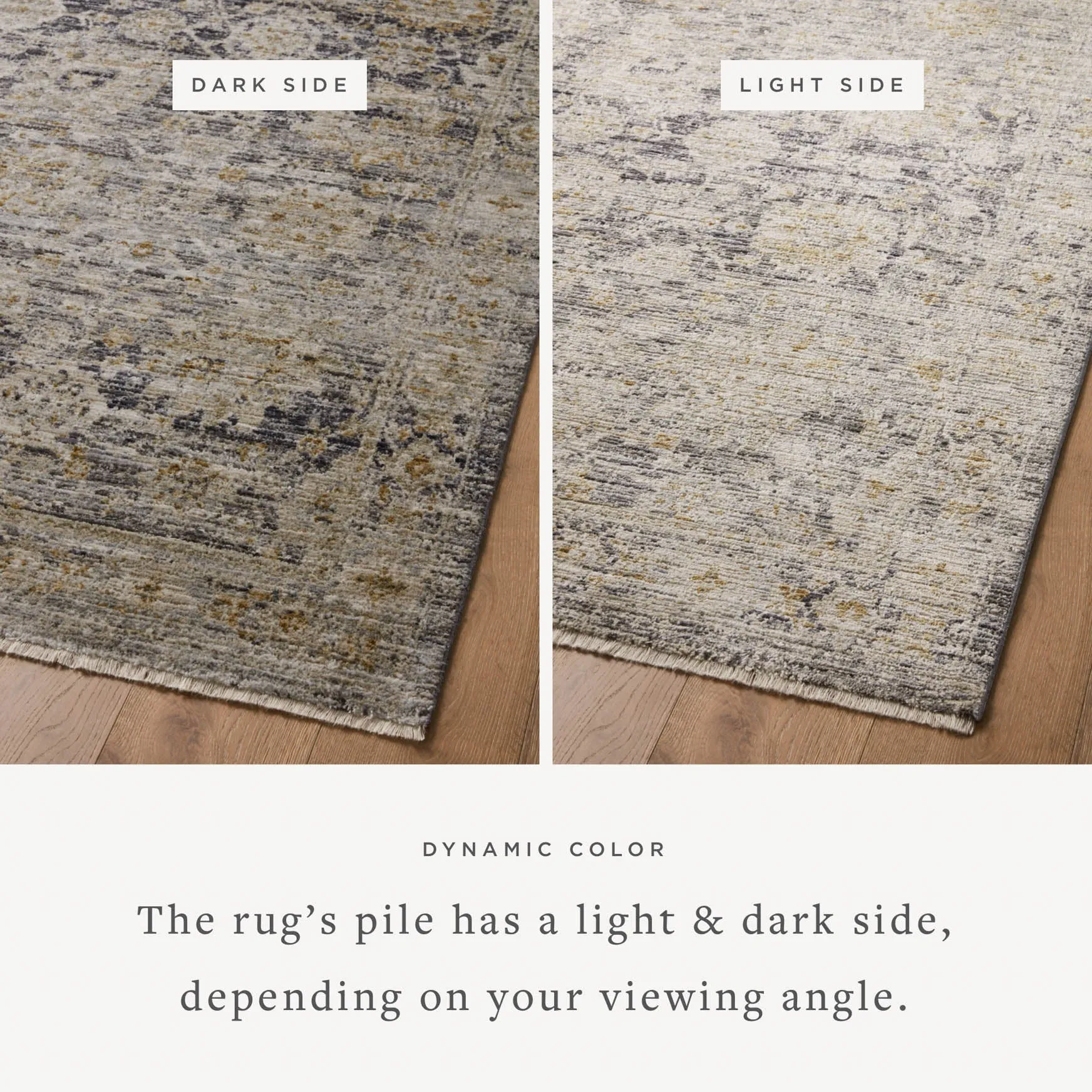 Jean Stoffer x Loloi Katherine Rug - Charcoal Gold