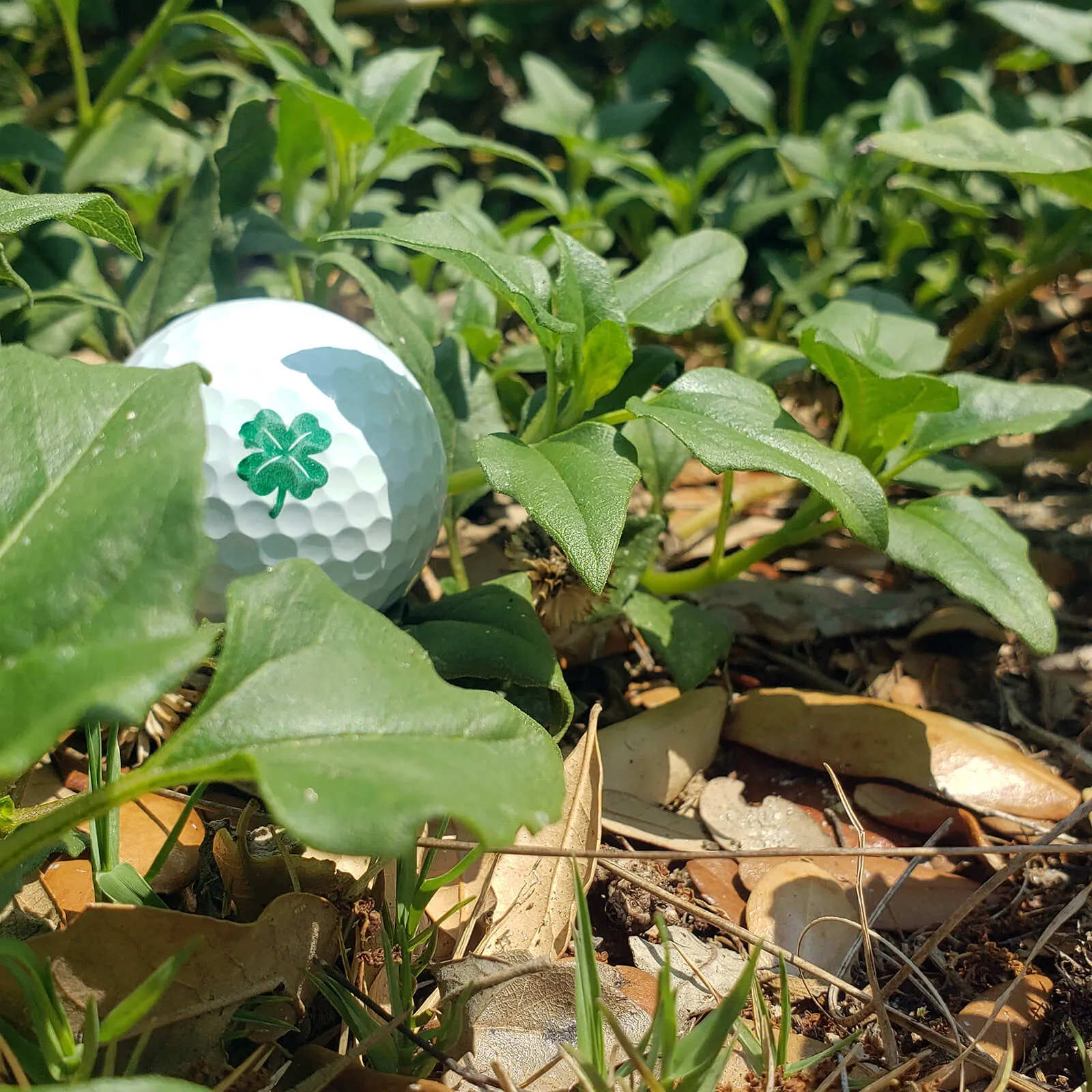 Lucky Clover Golf Ball Stamp