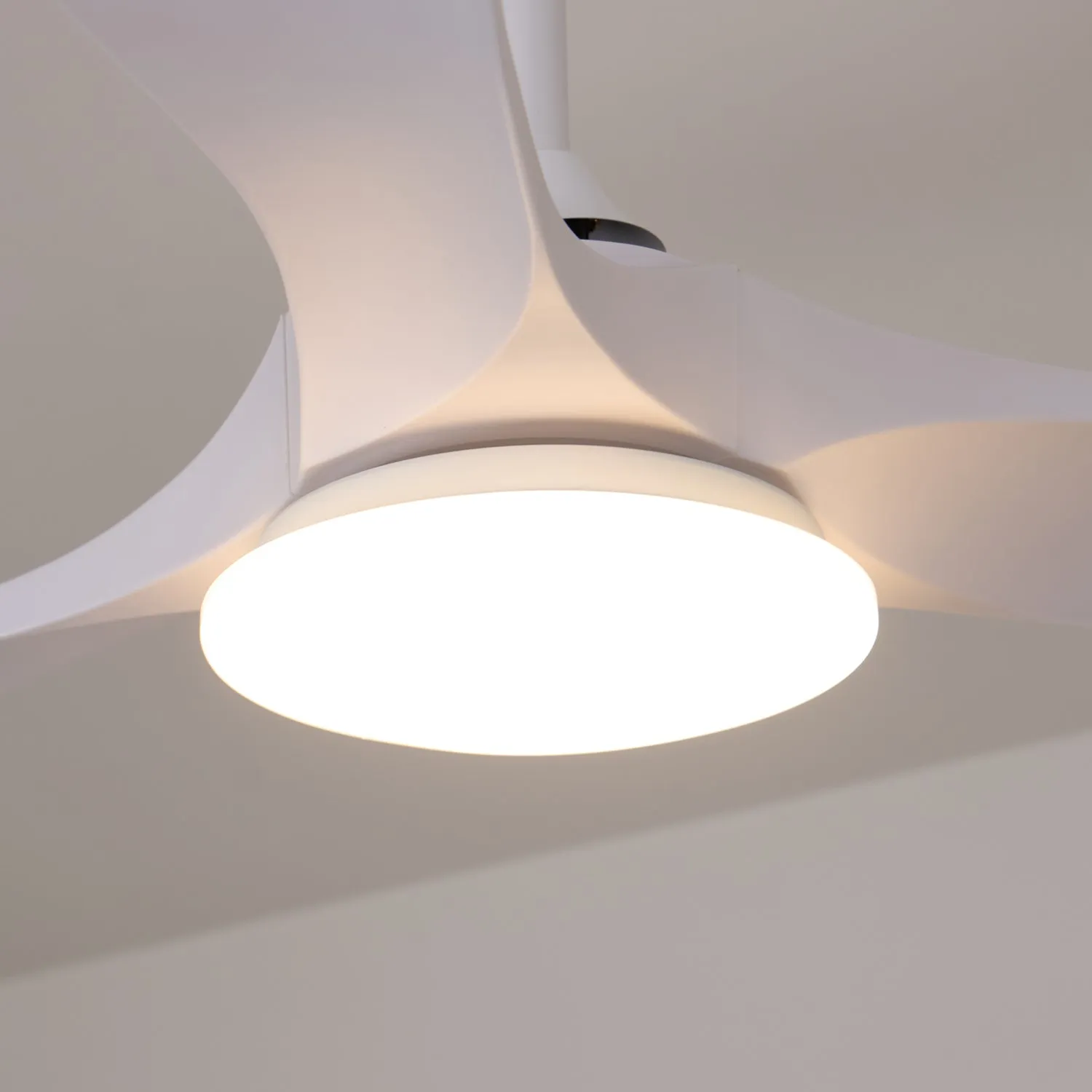 Maverick 42"/52" Ceiling Fan Light