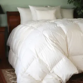 Natural Nights 800 Winter Weight Down Comforters-Twin (68" x 90")