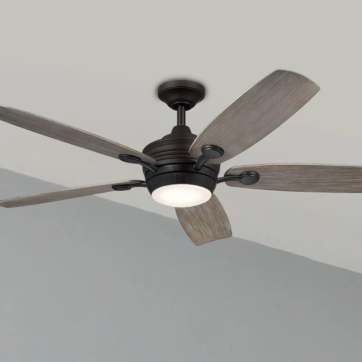 Tranquil 56 Inch Olde Bronze LED Damp Rated Ceiling Fan with Remote